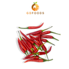 Ớt chỉ thiên