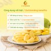 Frozen Jackfruit