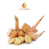 Frozen Sliced Galangal