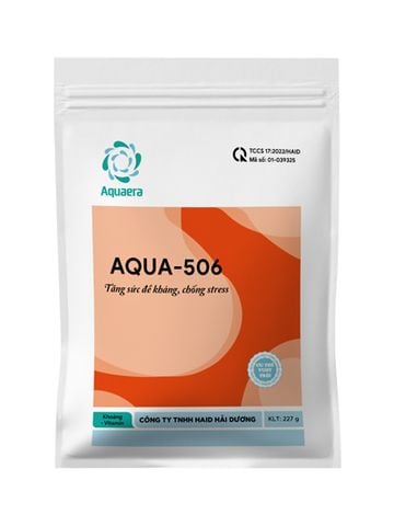 Haid Dinh Dưỡng Aqua 506
