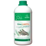 Vemedim Enter Lactyl Tôm