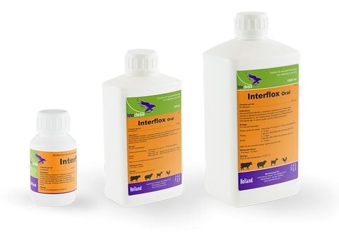 Interflox Oral