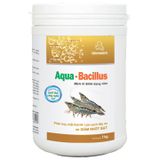Vemedim Aqua Bacillus