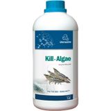 Vemedim Kill Algae Diệt Tảo 1L