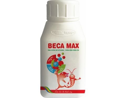 VT Beca Max