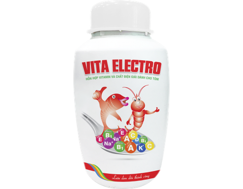 VT Vita Electro