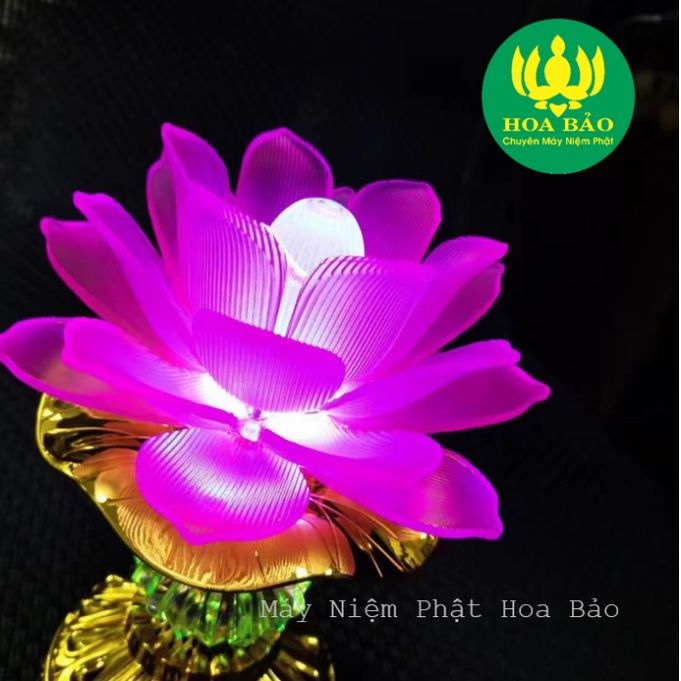  Đèn Thờ Hoa Sen có Loa Niệm Phật 58 bài - dùng điện trực tiếp 