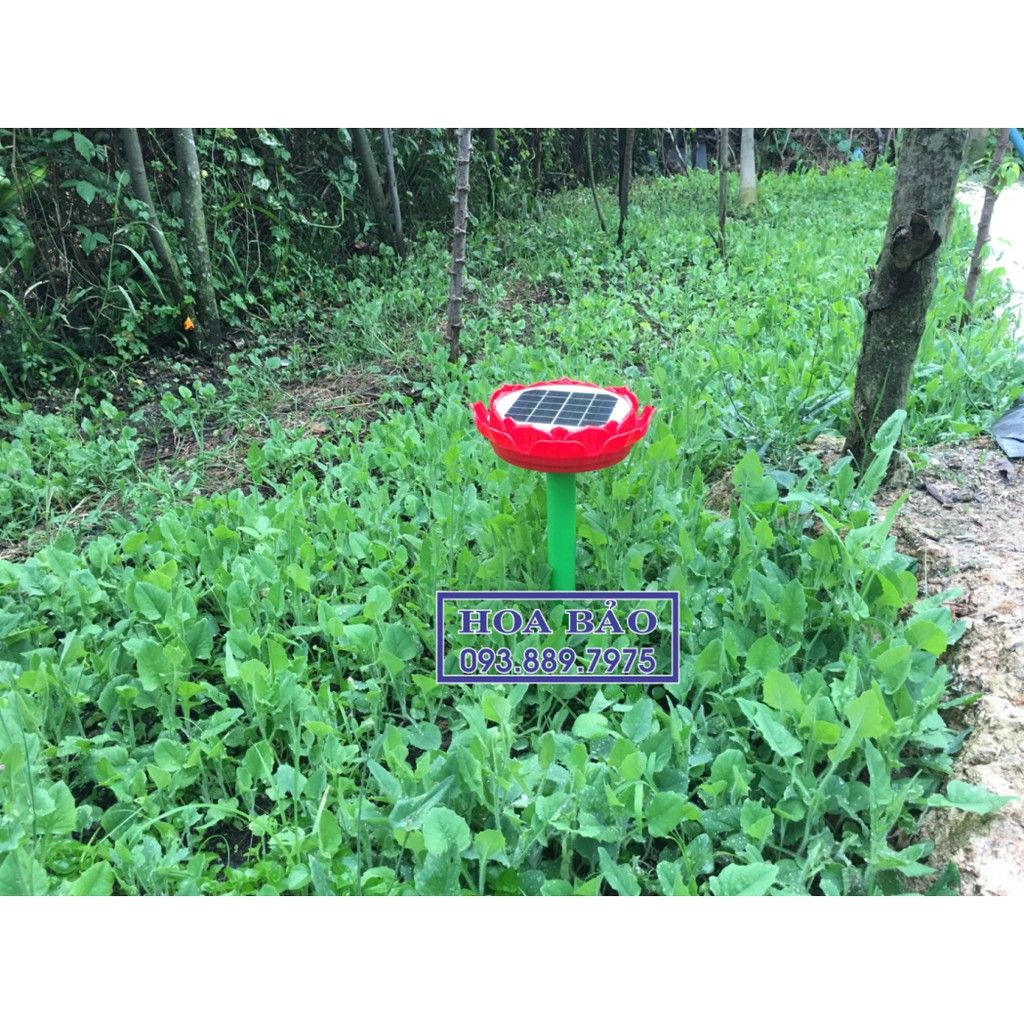  ✅Siêu Bền ✅ Đài Niệm Phật Hoa Sen Năng Lượng Mặt Trời - Có sẵn 29 bài Niệm Phật 