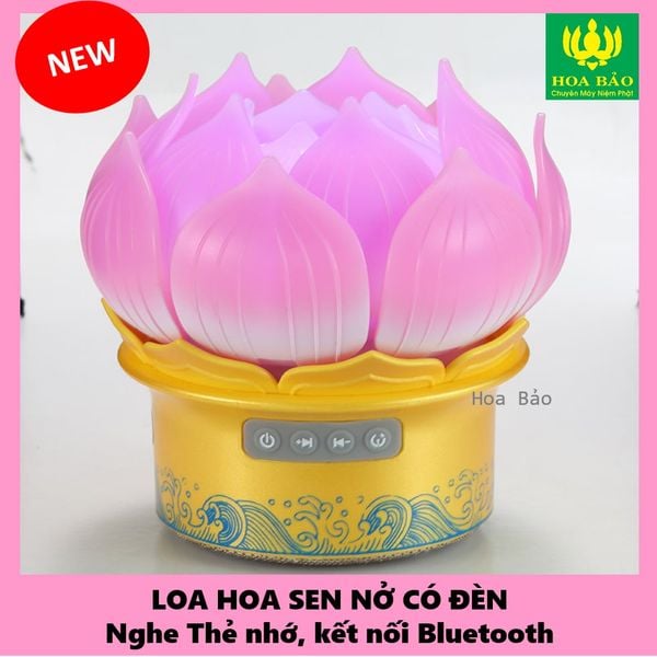  Loa Đèn Liên Đăng cao cấp  - kết nối Bluetooth, nghe thẻ nhớ 