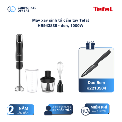 Máy xay sinh tố cầm tay Tefal HB943838 - đen, 1000W
