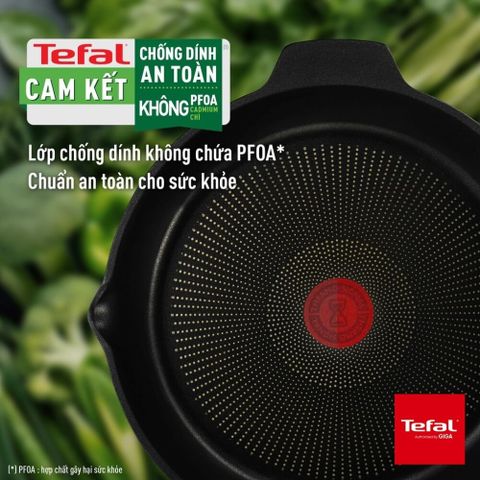 Chảo đúc cao cấp Tefal Robusto có miệng rót 22cm