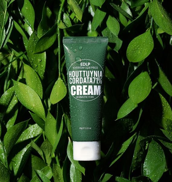  Kem dưỡng ẩm diếp cá làm dịu da Derma Factory Houttuynia Cordata 71% Cream 60g và 120g 