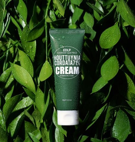  Kem dưỡng ẩm diếp cá Derma Factory Houttuynia Cordata 71% Cream 60g và 120g 