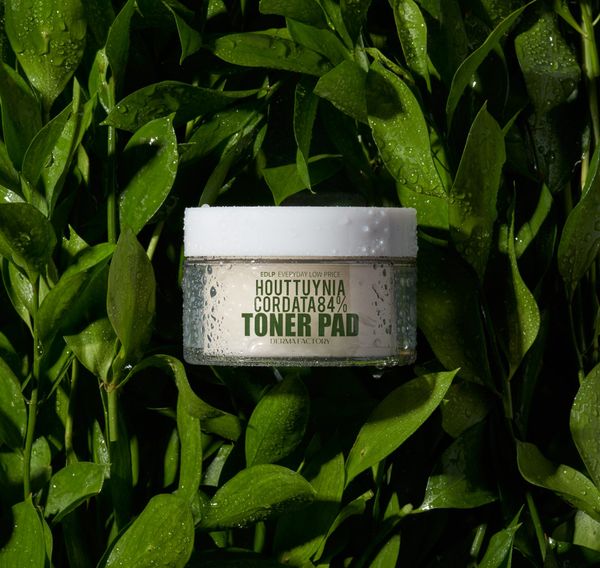  Toner pad làm dịu chiết xuất diếp cá Derma Factory Houttuynia Cordata 84% Toner Pad 150ml 
