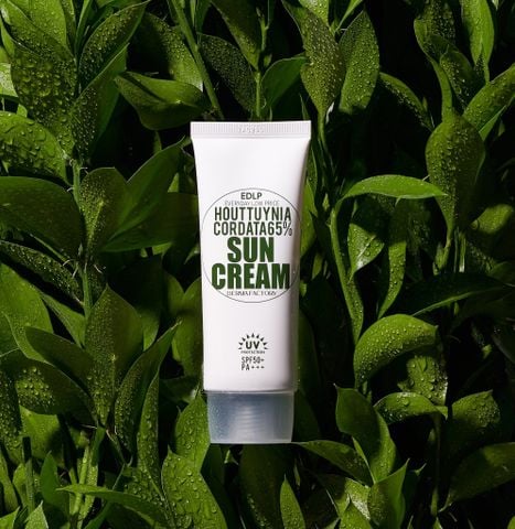  Kem chống nắng diếp cá Derma Factory Houttuynia Cordata 65% Sun Cream 50g 