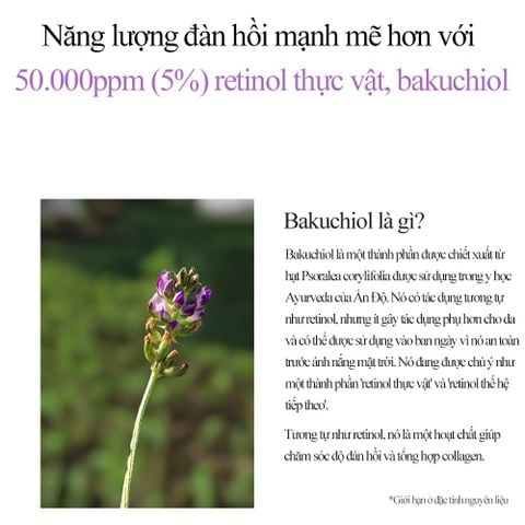  Tinh chất dưỡng sáng, chống nhăn và trẻ hóa da Derma Factory Bakuchiol 5% Ampoule 