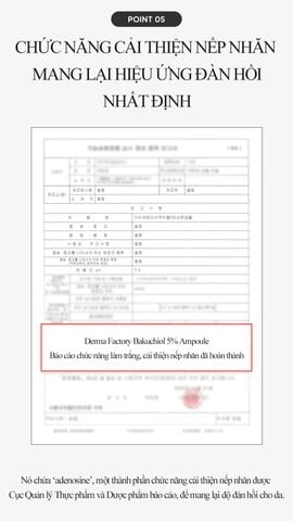  Tinh chất dưỡng sáng, chống nhăn và trẻ hóa da Derma Factory Bakuchiol 5% Ampoule 