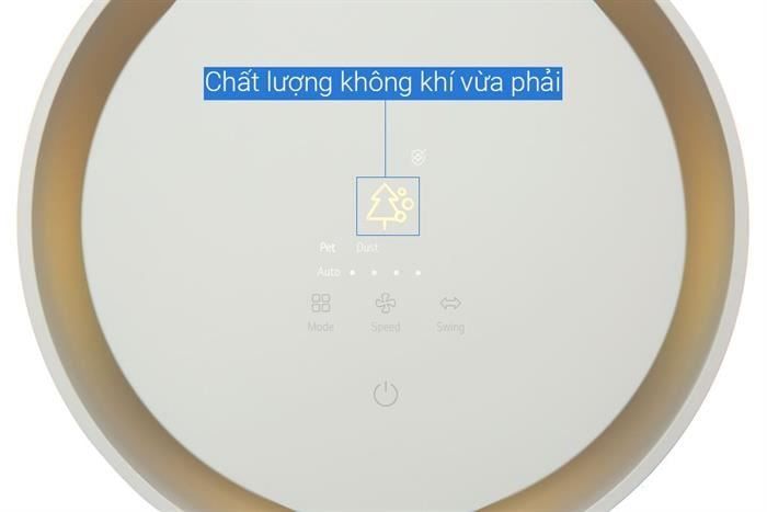 Máy lọc không khí LG PuriCare Aero Booster AS55GGSY0 55W