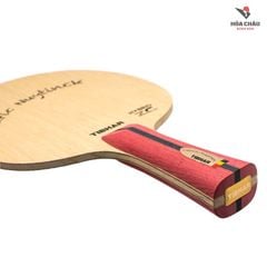 Cốt vợt Tibhar Cedric Nuytinck ZLC cán cá