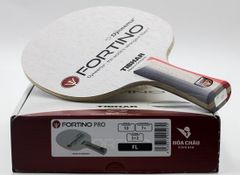 Cốt vợt Tibhar Fortino Pro cán cá