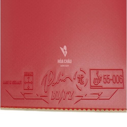 Mặt vợt Palio Blitz 2010