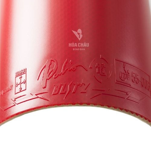 Mặt vợt Palio Blitz 2010