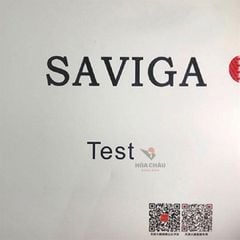 Gai dài Dawei Saviga Pro test OX