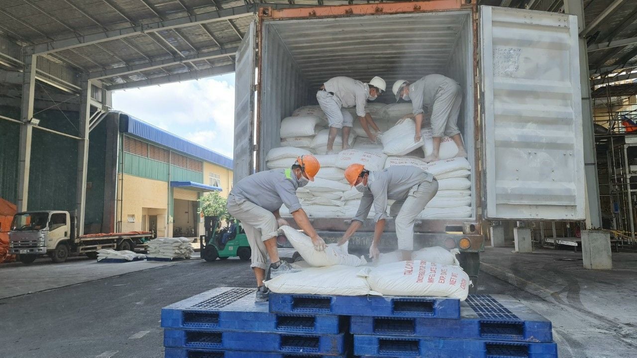 BỘT TALC – Công ty Máy và Hóa Chất Toàn Cầu