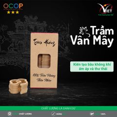Trầm Vân Mây