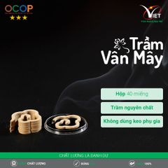 Trầm Vân Mây