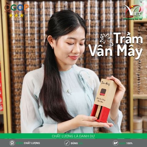 Trầm Vân Mây