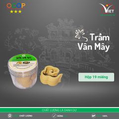 Trầm Vân Mây