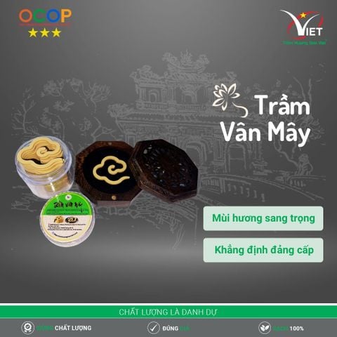 Trầm Vân Mây