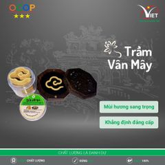 Trầm Vân Mây