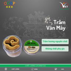 Trầm Vân Mây