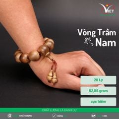 Vòng Trầm Nam - Trầm Chìm Thiên Nhiên 20 Ly Cực Hiếm - Kiểu Tròn