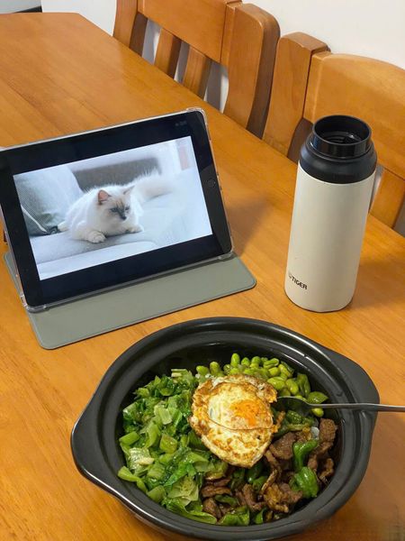 Bình giữ nhiệt Tiger MCZ-S060 dung tích 600ml