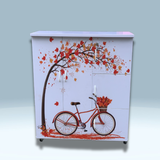  Tủ quần áo nhựa Đài Loan 2 cánh 5 hộc kéo 