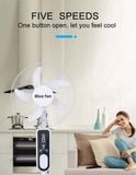  Quạt Năng Lượng Mặt Trời Blue Fan 
