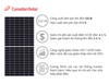  Tấm Pin Năng Lượng Mặt Trời Canadian 605W 