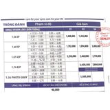 Tròng Kính Đơn Tròng Đánh Single Vision Lens Chemi