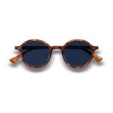 Carven Acoustic CM109