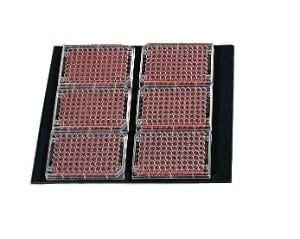 Máy lắc Platform quỹ đạo dòng Innova® 2000, 2100 và 2300