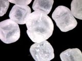 Kính hiển vi kỹ thuật số cầm tay độ phóng đại cao Dino-Lite