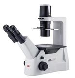 Kính hiển vi soi ngược Motic AE2000