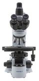 Kính hiển vi soi thẳng VisiScope® 384