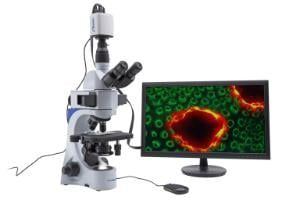 Kính hiển vi soi thẳng VisiScope® 384