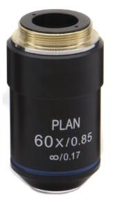 Kính hiển vi soi thẳng VisiScope® 800