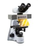 Kính hiển vi huỳnh quang VisiScope® TL534B FL4