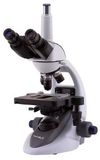 Kính hiển vi soi thẳng VisiScope® 254